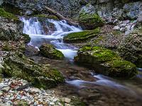 Bemooste Felsen unterhalb Kaskade - Talgraben